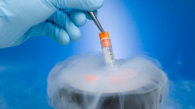 ¿Cómo es el proceso de congelar óvulos, según expertos en medicina?