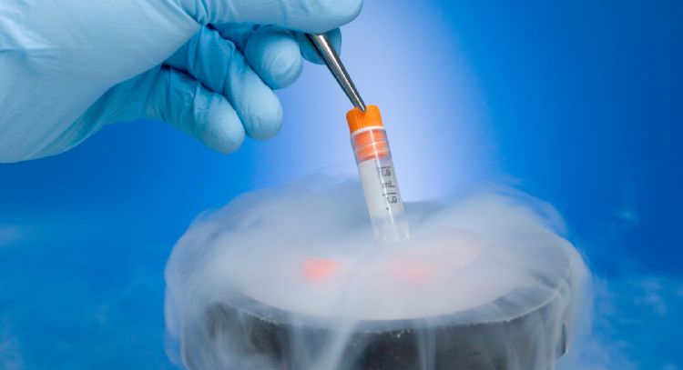 ¿Cómo es el proceso de congelar óvulos, según expertos en medicina?