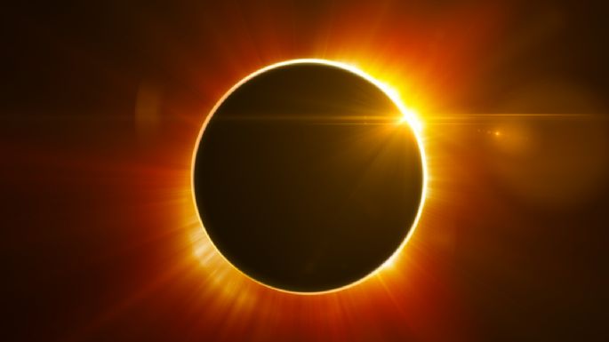 Conoce los efectos del eclipse solar en las mascotas