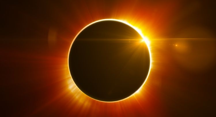 Conoce los efectos del eclipse solar en las mascotas