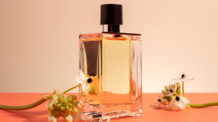 3 perfumes low cost para oler exquisita por menos de 100 dólares