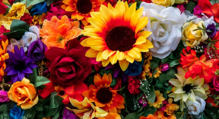 La alerta de Estados Unidos por plantas prohibidas procedentes de México
