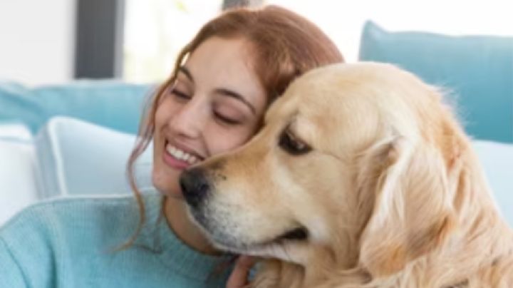 Así puedes saber si tu perro es feliz contigo