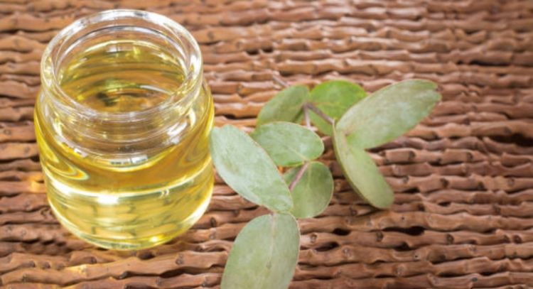 Conoce el aceite esencial que quita el acné desde el primer uso