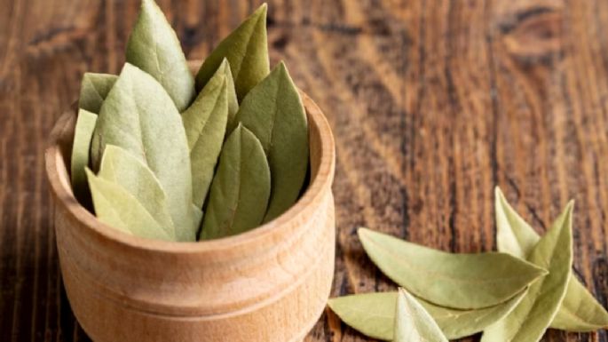 Cómo usar el laurel en tu habitación para atraer la abundancia en invierno, según ritual milenario