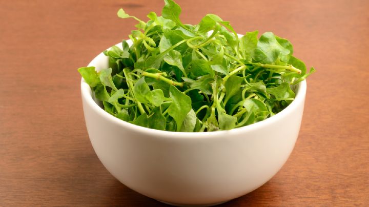 Cuál es el alimento más sano ideal para sumar a tu dieta, según un estudio