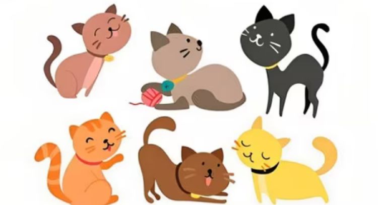 Test de personalidad: elige el gato que observes primero y descubre tu hogar soñado
