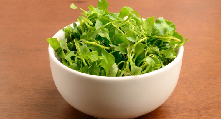 Cuál es el alimento más sano ideal para sumar a tu dieta, según un estudio