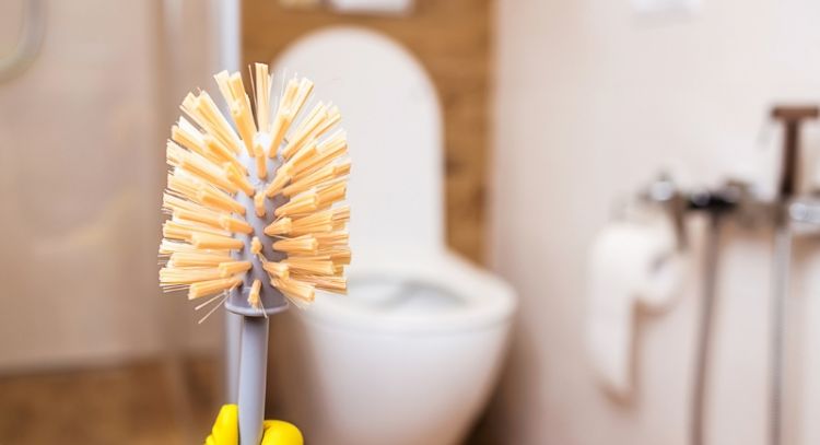 Aprende a desinfectar la escobilla del baño sin tocarla y con 1 ingrediente