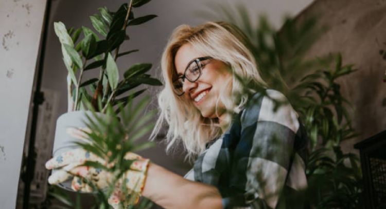 4 plantas que atraen el amor a tu vida, según el Feng Shui
