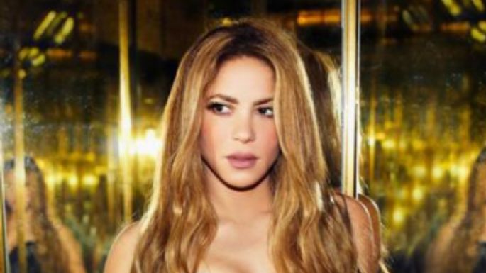 No te imaginas en qué gasta la mayoría de su dinero Shakira