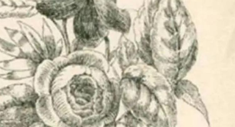 Solo una vista privilegiada puede encontrar los rostros ocultos en tiempo récord