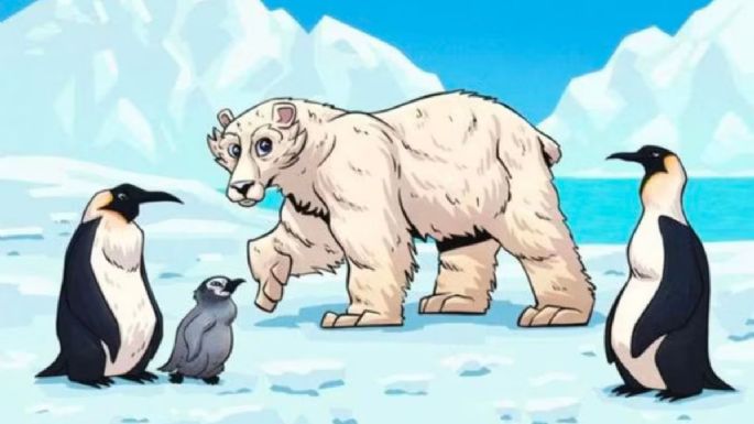 Sólo una mente muy lúcida puede encontrar el error en la imagen del oso polar en menos de 5 segundos