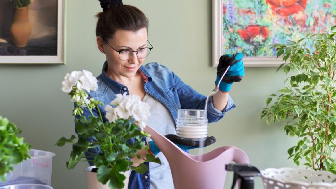 Olvídate de los fertilizantes con este truco casero para que tus plantas estén fuertes y sanas