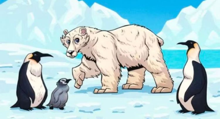 Sólo una mente muy lúcida puede encontrar el error en la imagen del oso polar en menos de 5 segundos