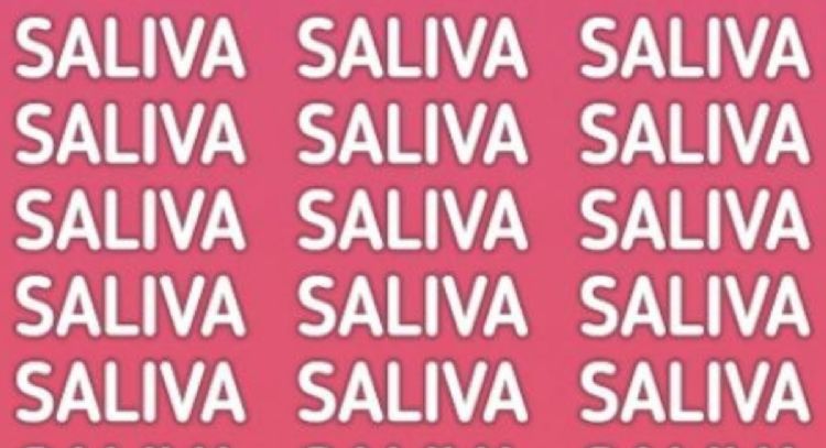 Solo una mente brillante puede encontrar la palabra ‘SALVIA’ en solo 5 segundos