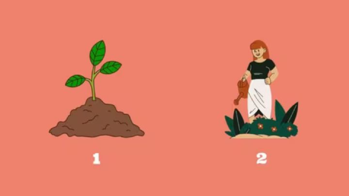 Test de personalidad: elige lo primero que observes y te diré si tienes amor propio