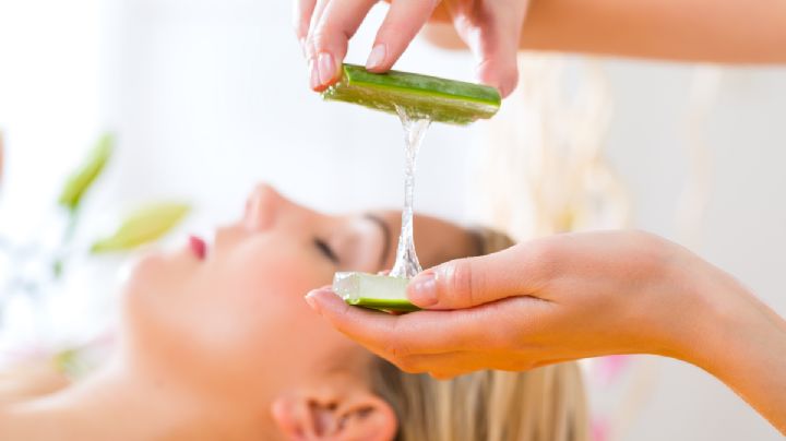 6 beneficios de aplicar la planta de aloe vera en tu cabello