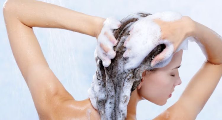 Con hojas, flores y hierbas de tu jardín prepara un shampoo casero