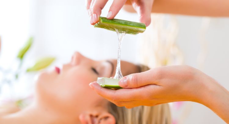 6 beneficios de aplicar la planta de aloe vera en tu cabello
