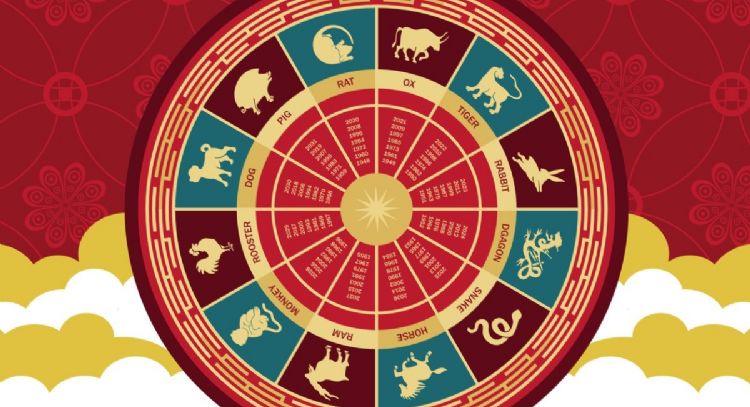 Horóscopo chino: 5 animales que recibirán dinero entre el 8 y el 13 de noviembre 2023