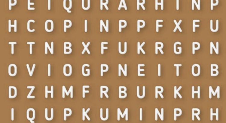 El acertijo visual de la palabra ‘Placton’ que pocos resuelven en menos de 5 segundos