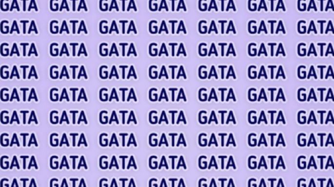 Solo una mente muy entrenada puede encontrar la palabra ‘GAZA’ en solo 7 segundos