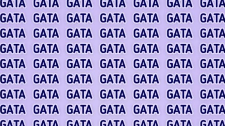 Solo una mente muy entrenada puede encontrar la palabra ‘GAZA’ en solo 7 segundos