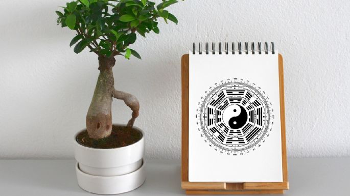 7 trucos para atraer la abundancia según el Feng Shui