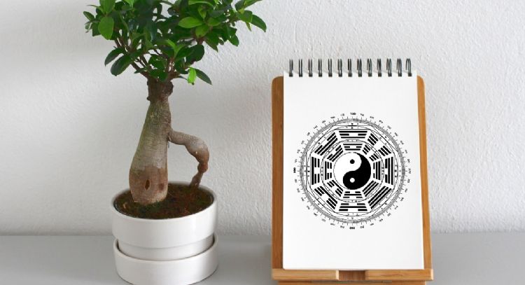 7 trucos para atraer la abundancia según el Feng Shui