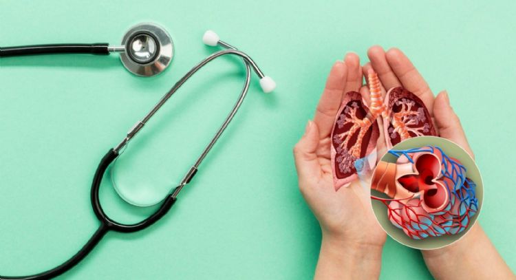 5 Formas naturales para limpiar tus pulmones