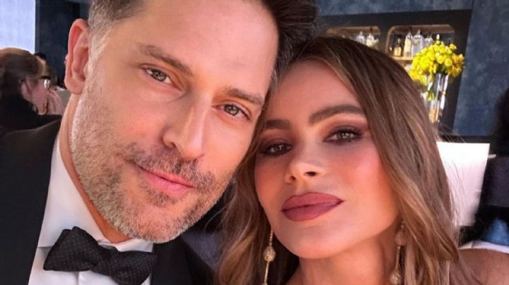 Sofía Vergara anuncia su DIVORCIO tras 7 años de casada; ¿quién es su aún esposo?