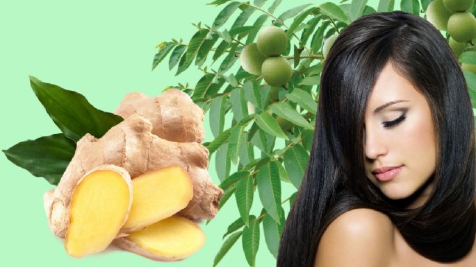 ¿Cómo se pueden cubrir las CANAS de forma natural? 3 remedios caseros