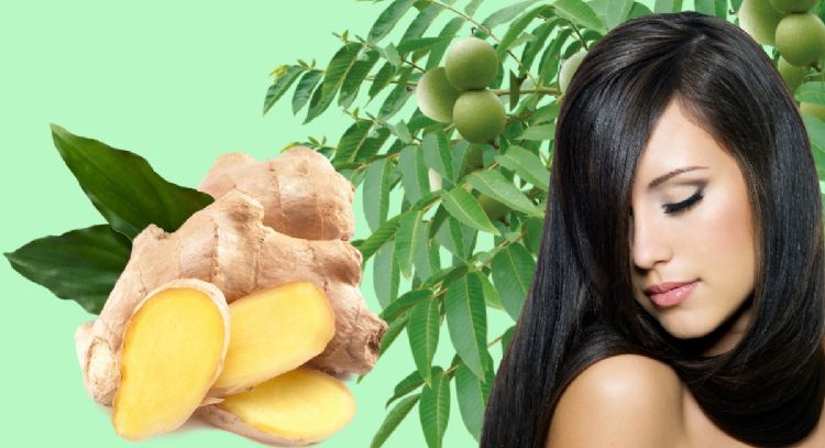 ¿Cómo se pueden cubrir las CANAS de forma natural? 3 remedios caseros