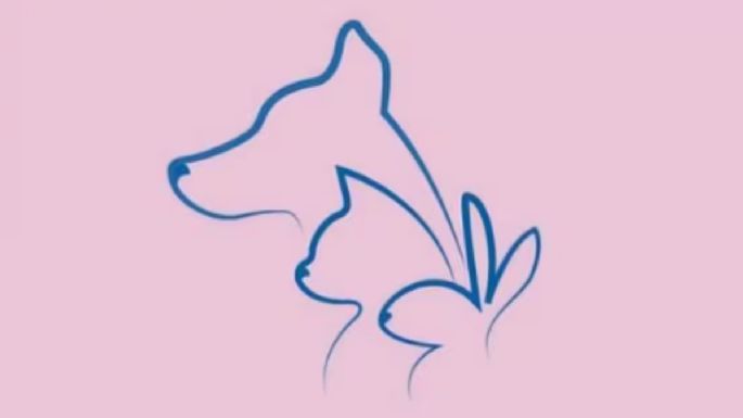 Test de personalidad: dime que animal viste primero y te diré tu mayor fortaleza