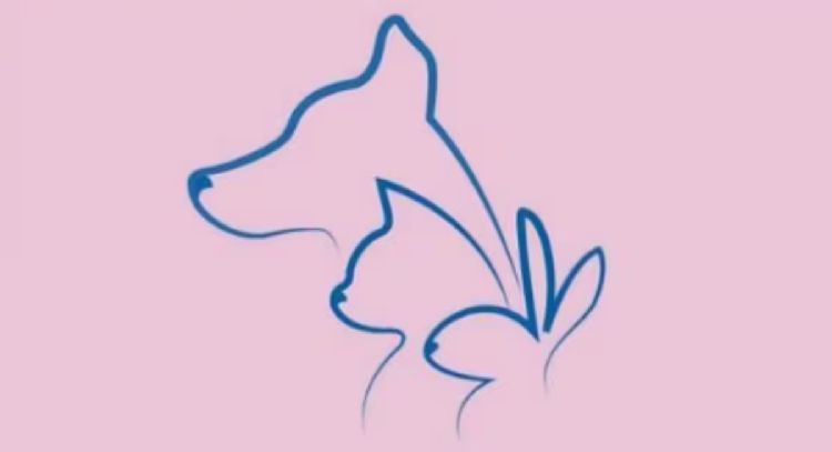 Test de personalidad: dime que animal viste primero y te diré tu mayor fortaleza