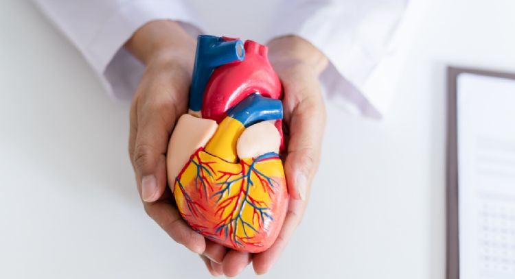 3 frutas para cuidar tu corazón de forma natural y sin esfuerzo