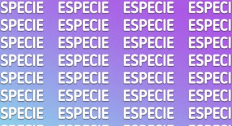 Solo una mente muy brillante puede encontrar la palabra ‘ESPECIA’ en solo 7 segundos