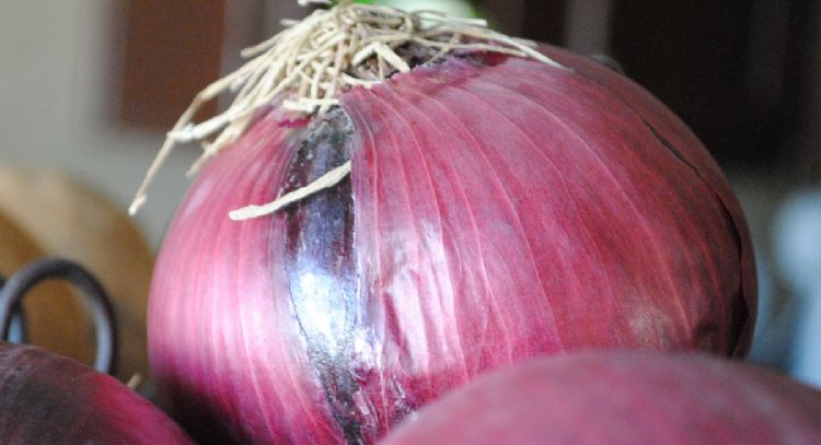 Revierte las canas con esta preparación a base de cebolla morada