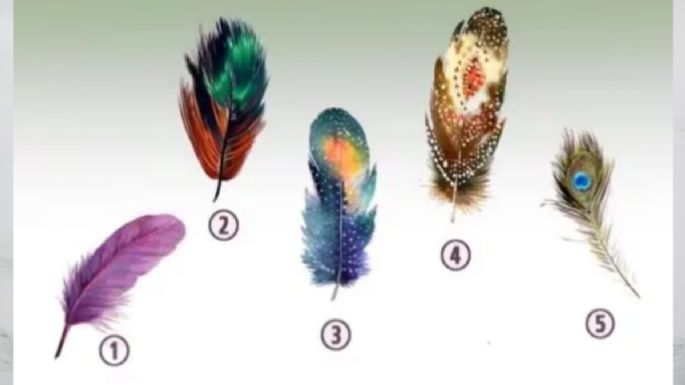 Test de personalidad: dime qué pluma te gusta más y te diré tu verdadera personalidad