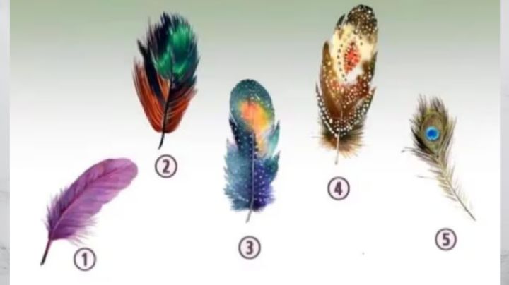 Test de personalidad: dime qué pluma te gusta más y te diré tu verdadera personalidad