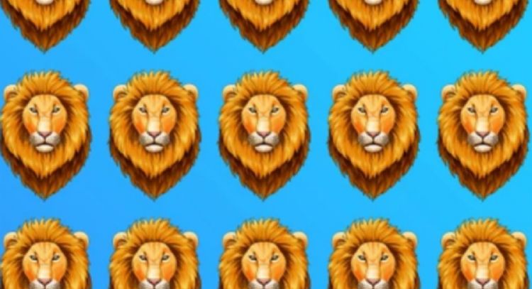 Solo una mente muy inteligente puede encontrar al animal diferente en solo 5 segundos