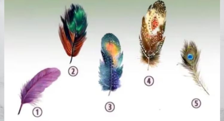 Test de personalidad: dime qué pluma te gusta más y te diré tu verdadera personalidad