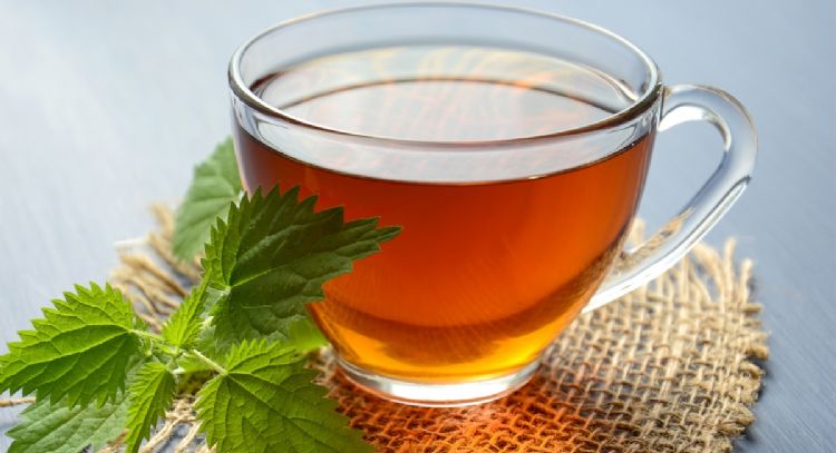 Termina con los cálculos en tus riñones con estas 4 infusiones naturales y fáciles de preparar