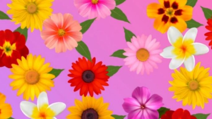 Solo una mente muy inteligente puede encontrar la flor soltera en solo 9 segundos