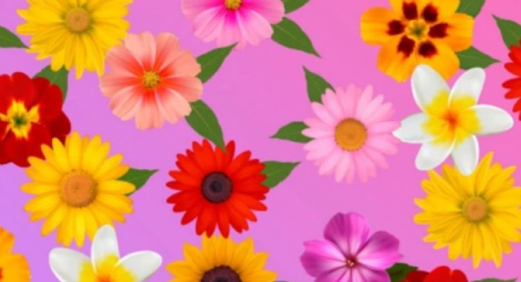 Solo una mente muy inteligente puede encontrar la flor soltera en solo 9 segundos