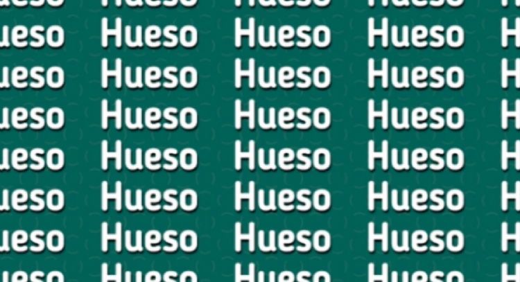 Solo una mente muy inteligente puede encontrar la palabra ‘HUEVO’ en solo 5 segundos