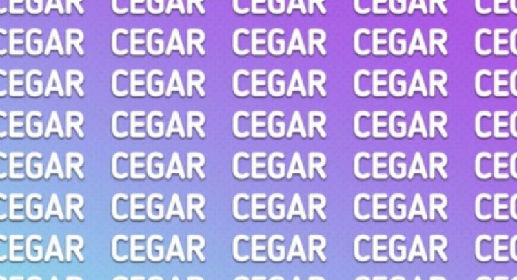 Solo una mente muy brillante puede encontrar la palabra ‘SEGAR’ en solo 5 segundos