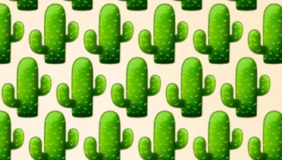 Solo una mente muy inteligente puede encontrar el cactus diferente en solo 9 segundos