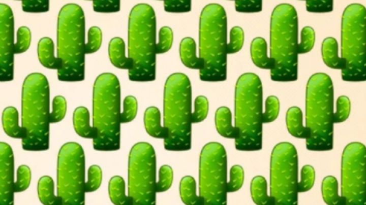 Solo una mente muy inteligente puede encontrar el cactus diferente en solo 9 segundos